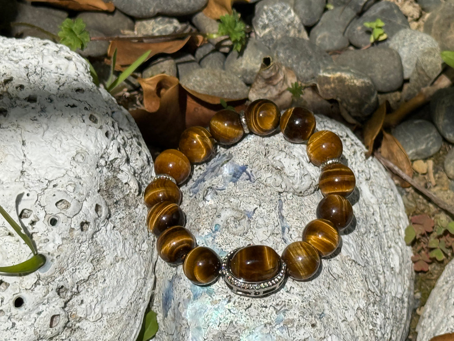The Eye of the King | Golden Tiger’s Eye Energy Bracelet