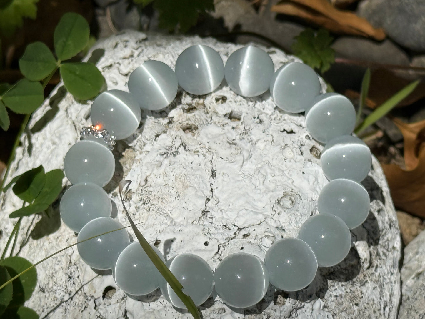 "Moonlit Guardian" White Cat’s Eye Bracelet