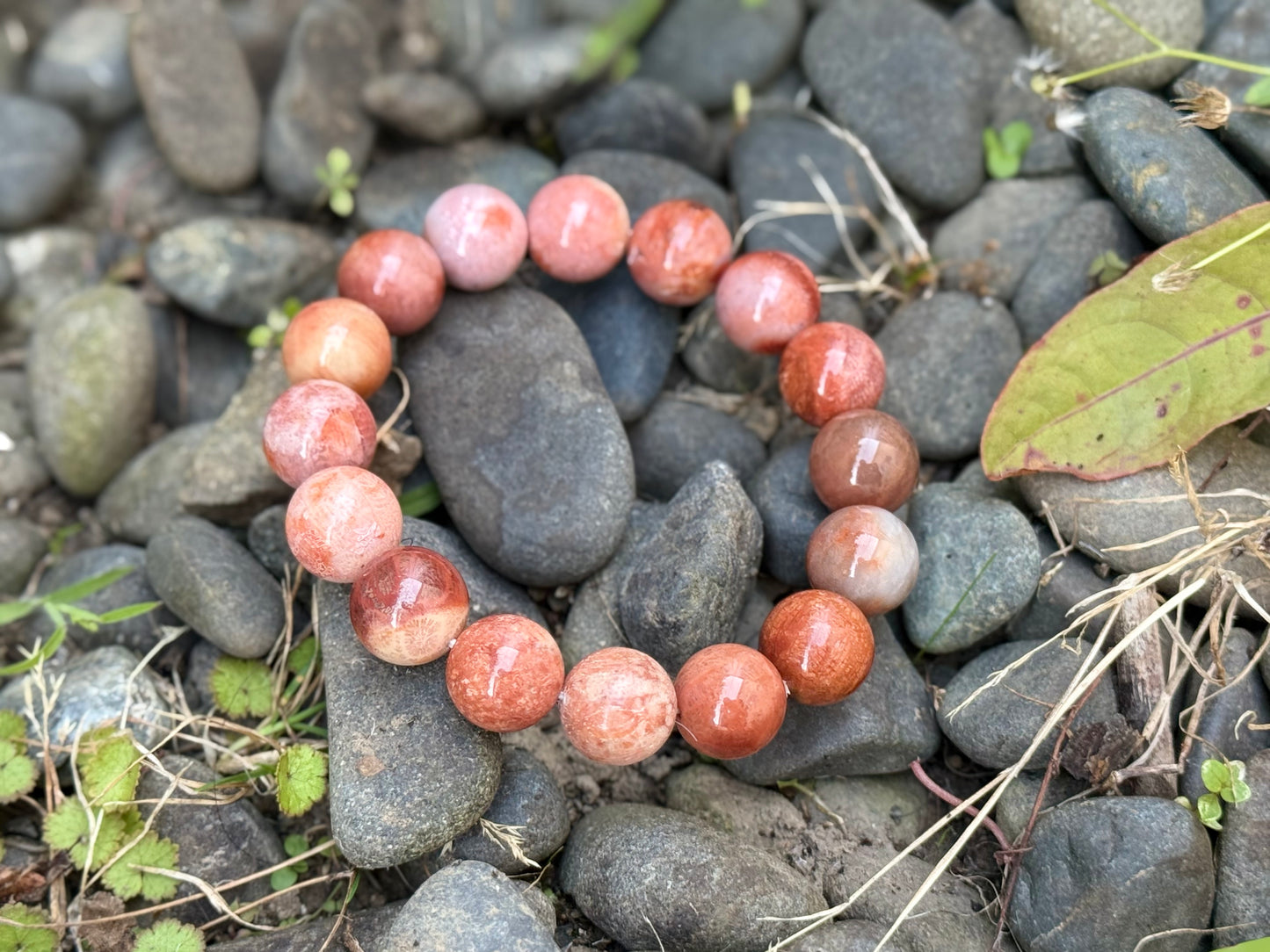 "Ancient Ocean Bloom" Fossilized Coral Bracelet