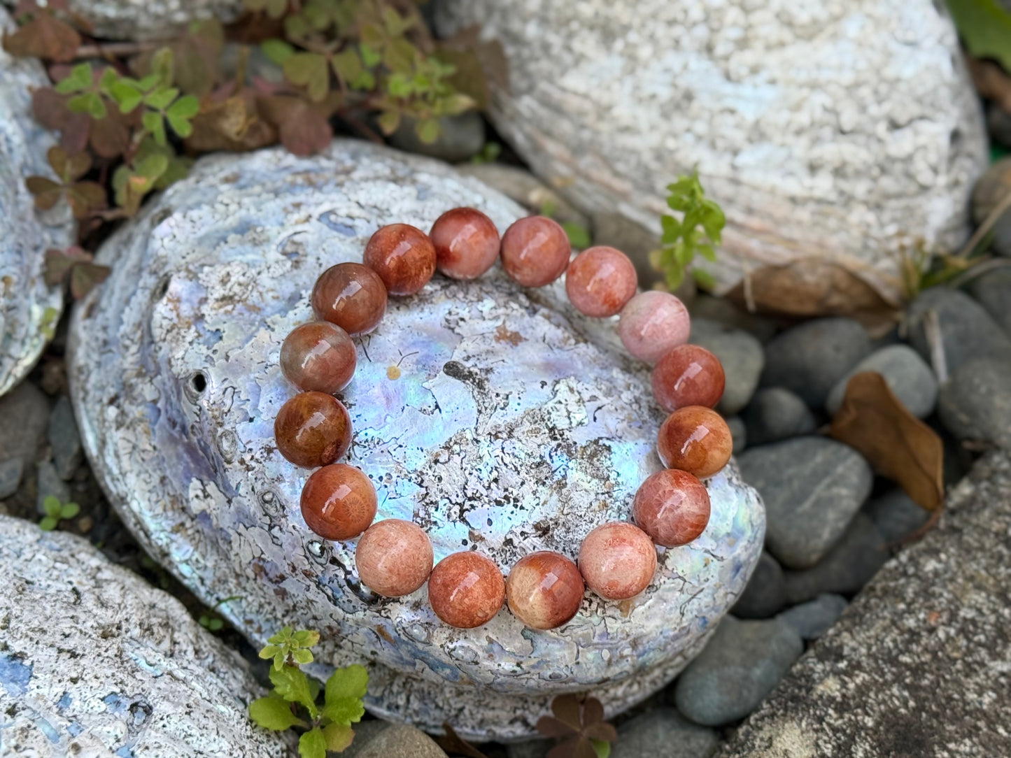 "Ancient Ocean Bloom" Fossilized Coral Bracelet